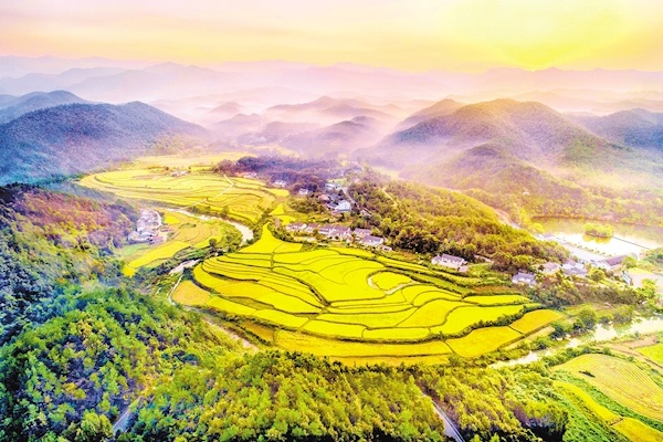 無限風光在鄉村