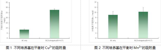 【科技】共生新模式:細(xì)菌纖維素與藍(lán)藻聯(lián)手“洗凈”水污染——武漢理工大學(xué)生命科學(xué)學(xué)院最新研究成果解讀(圖1) 【科技】共生新模式:細(xì)菌纖維素與藍(lán)藻聯(lián)手“洗凈”水污染——武漢理工大學(xué)生命科學(xué)學(xué)院最新研究成果解讀(圖1)